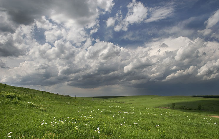 Kansas